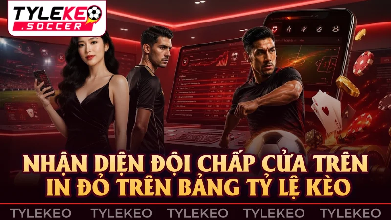 Nhận biết vị thế cửa trên và cửa dưới